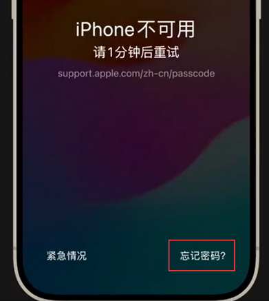 汕尾苹果手机密码维修分享iPhone忘记了刚设置的密码 