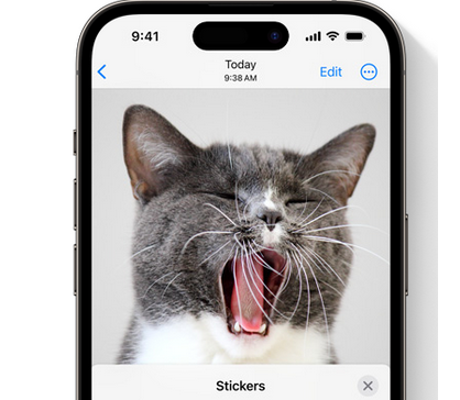 汕尾苹果电脑维修分享iOS17中的贴纸功能是什么 