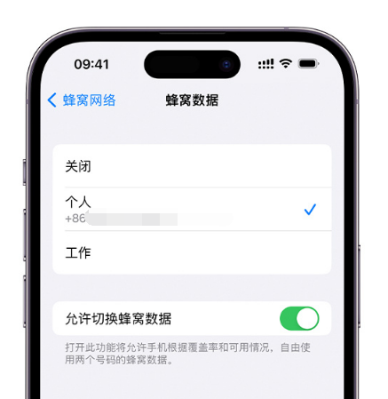 汕尾苹果维修服务分享如何在iPhone上使用双卡 